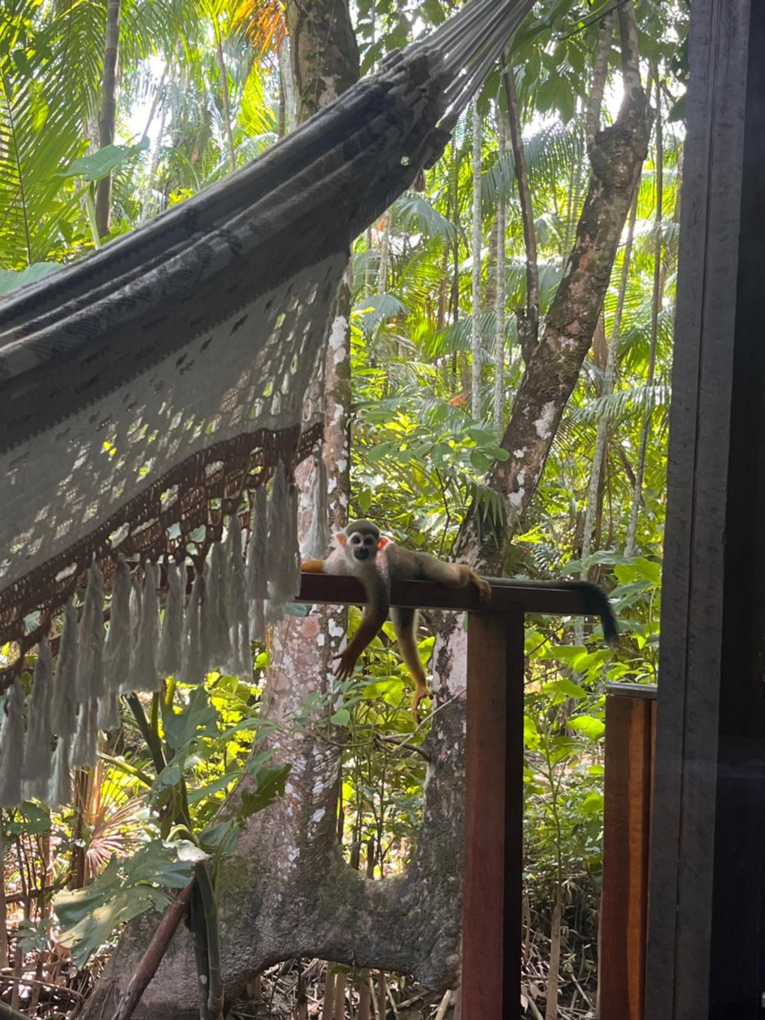 Olaria River Hostel Μπελέμ Εξωτερικό φωτογραφία